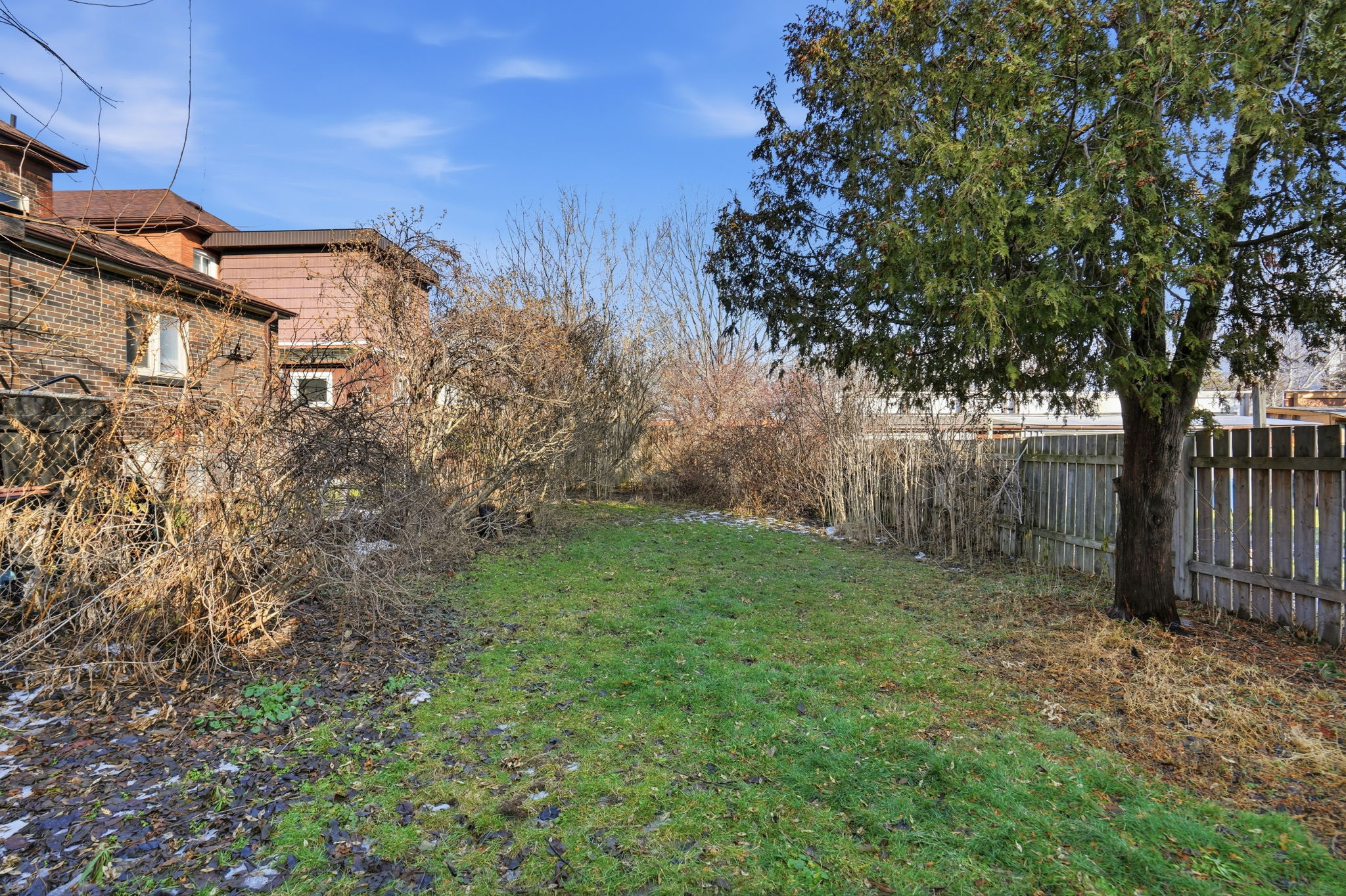 38-web-or-mls-24 Florence St, Hamilton-198