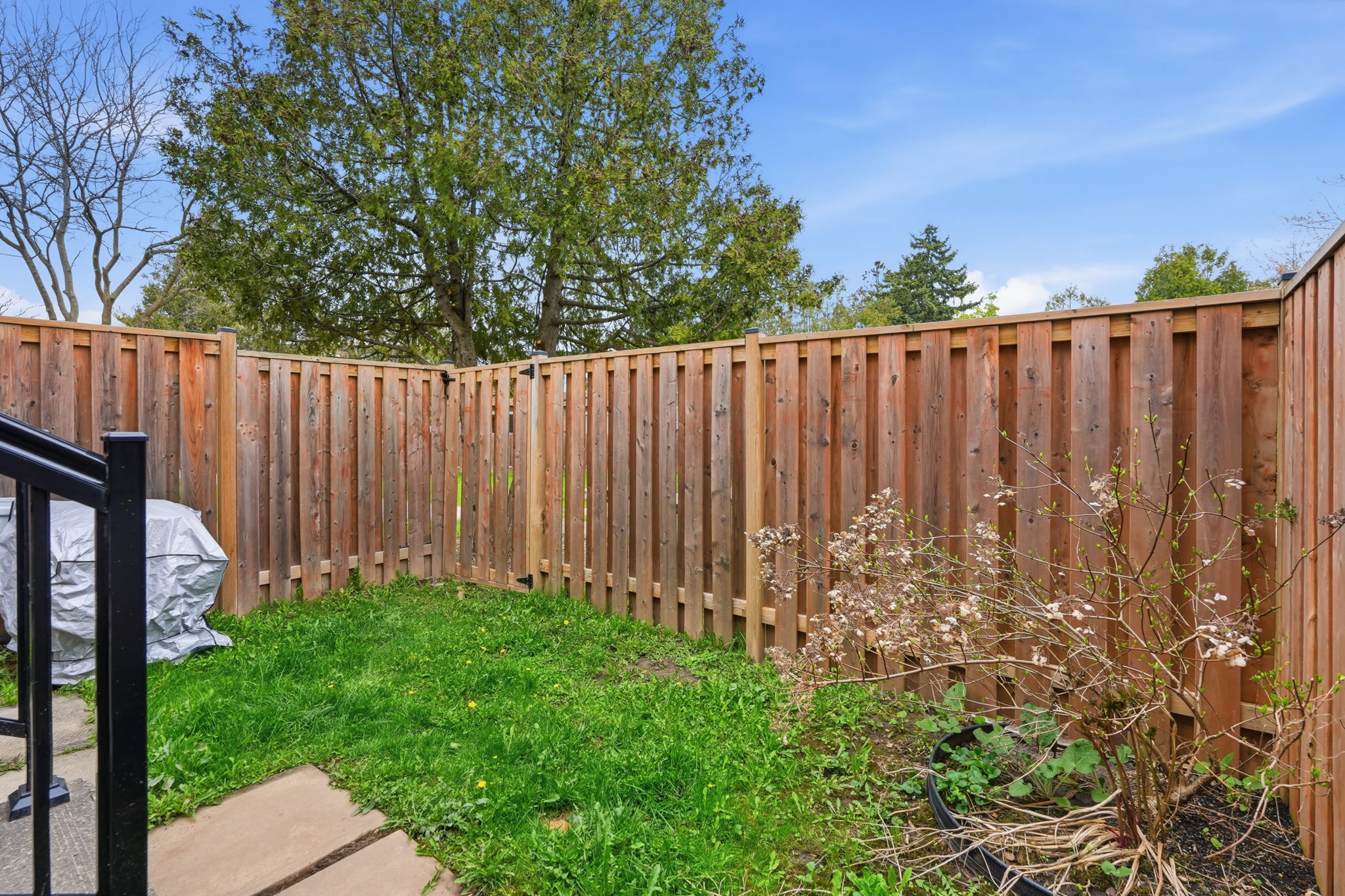 50-web-or-mls-50-Jeff Frank_1538 Westminster Pl