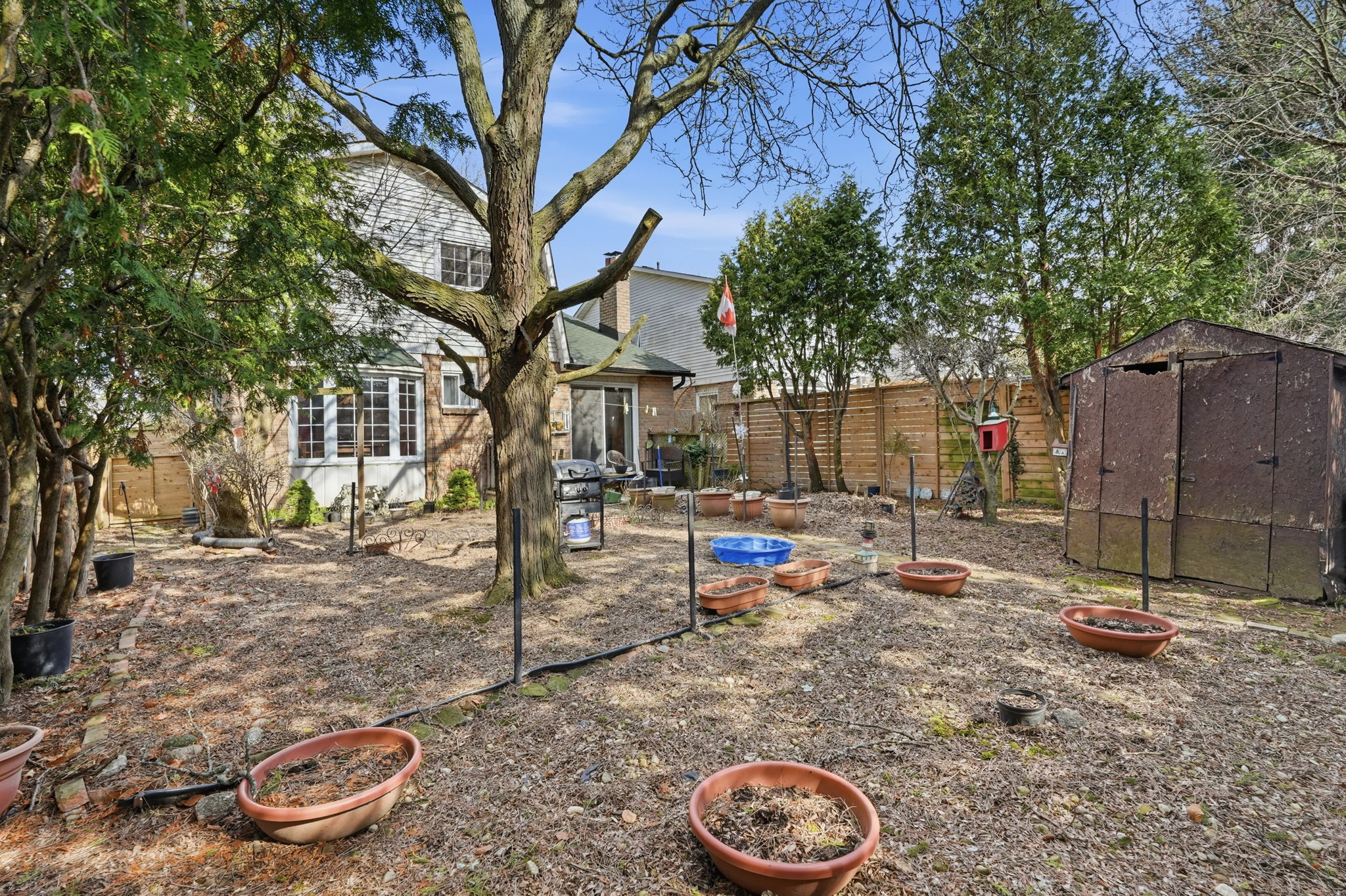 50-web-or-mls-50-Samantha Frank - 471 Knightsbridge Crescent_