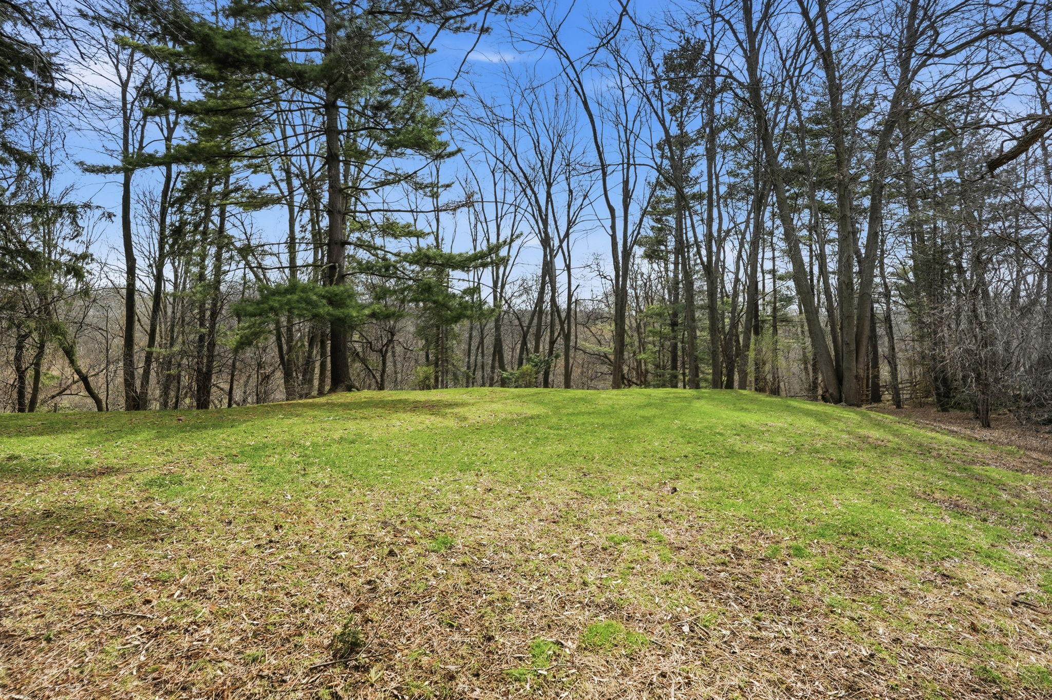 82-web-or-mls-82-Samantha Frank_1266 Scenic Dr