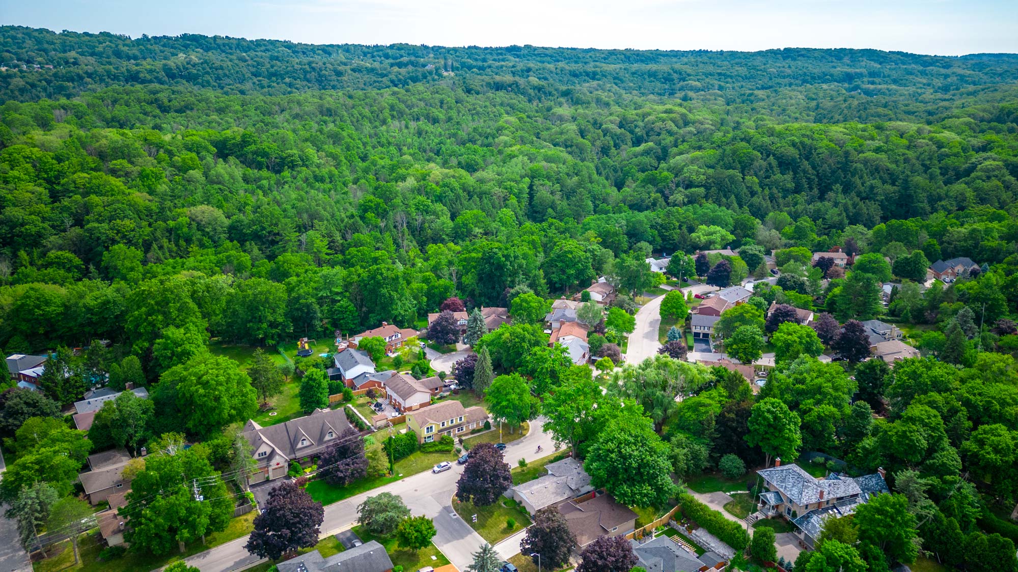 82TurnbullRdHamiltonDroneLowRes-17