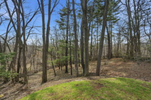83-web-or-mls-83-Samantha Frank_1266 Scenic Dr