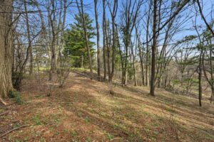 84-web-or-mls-84-Samantha Frank_1266 Scenic Dr