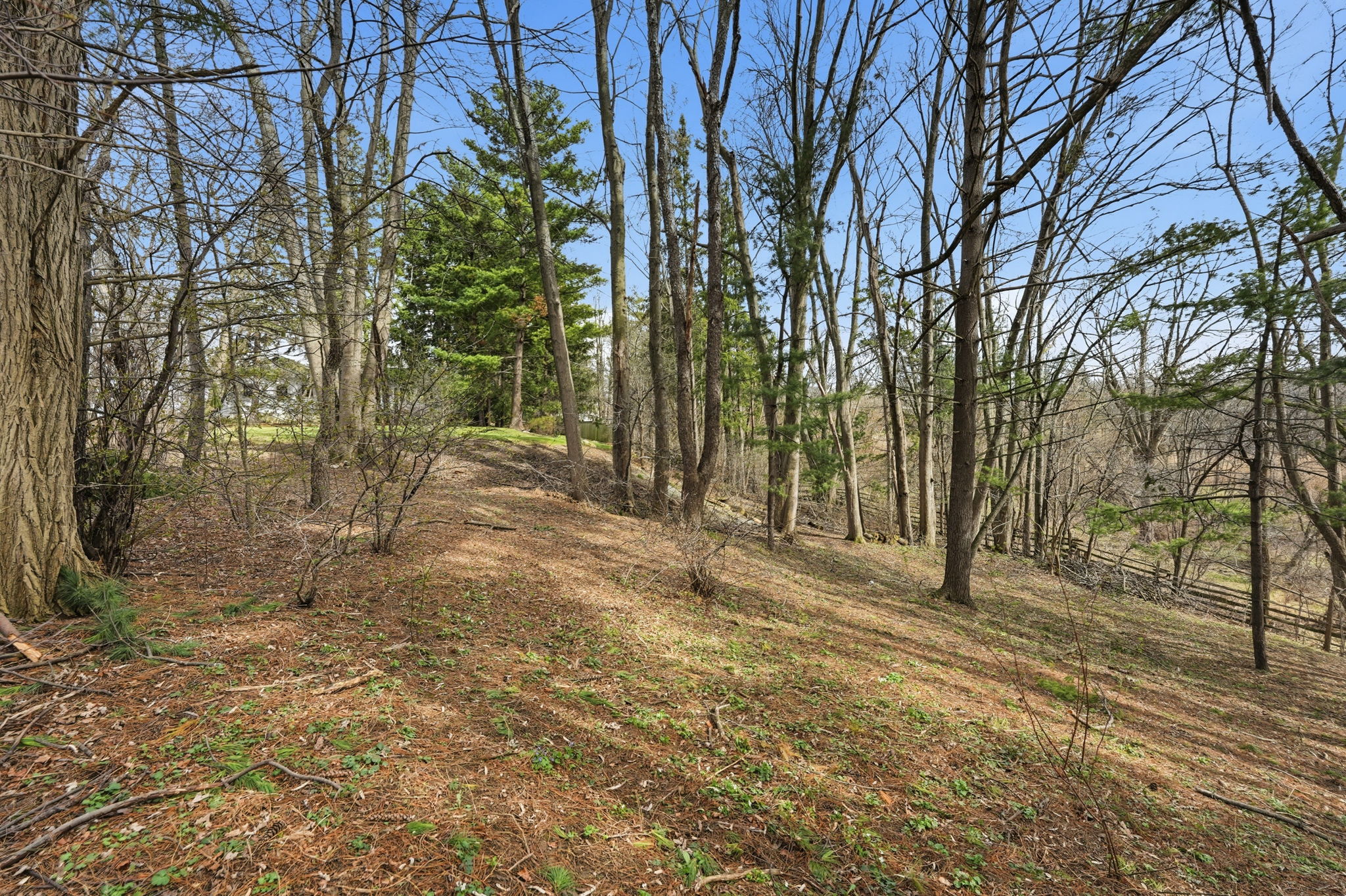 84-web-or-mls-84-Samantha Frank_1266 Scenic Dr