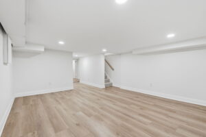 49-web-or-mls-49-Ilona Verlint_205 Locke St