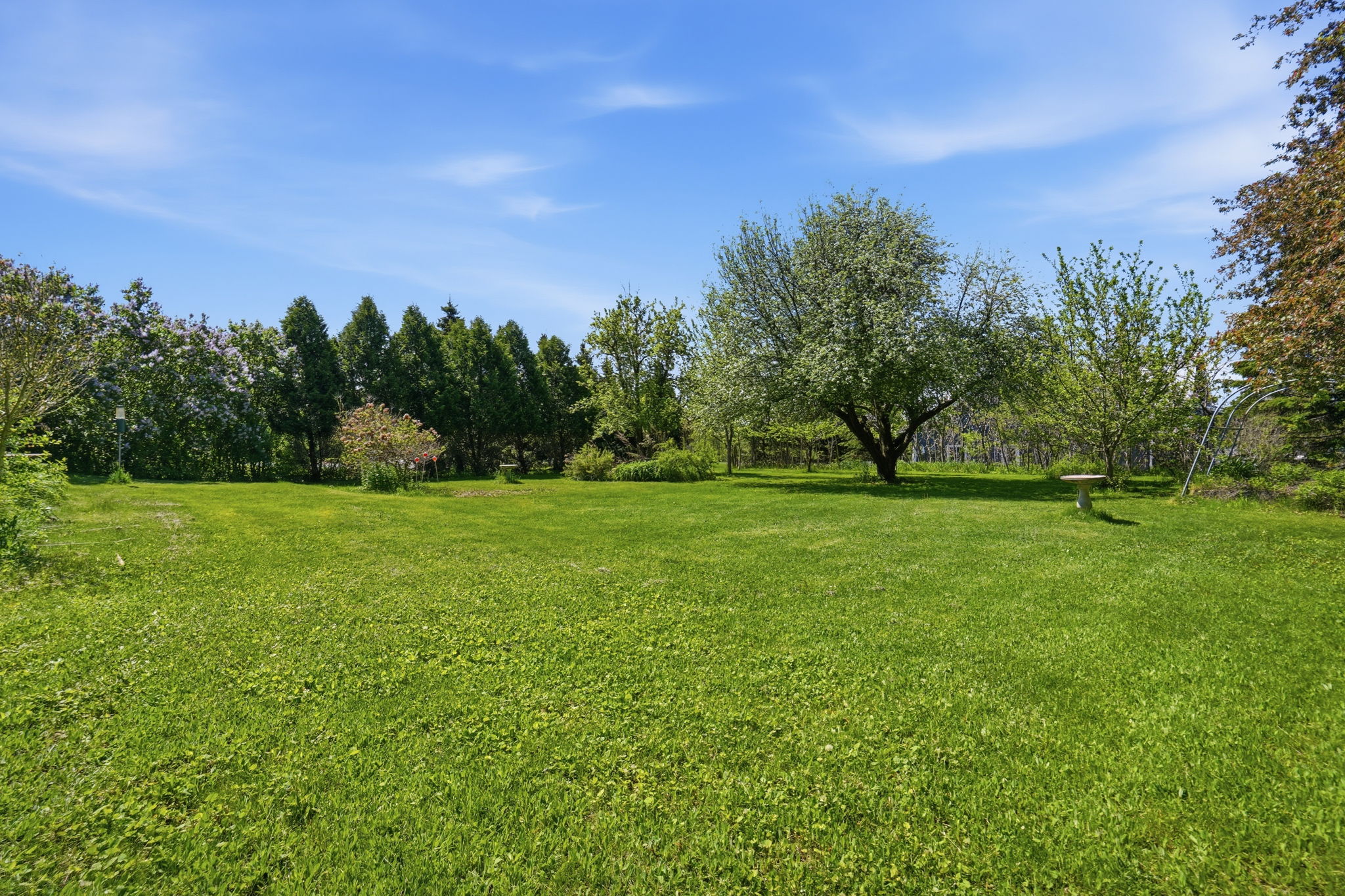 52-web-or-mls-52-Jeff Frank_1961 Centre Rd