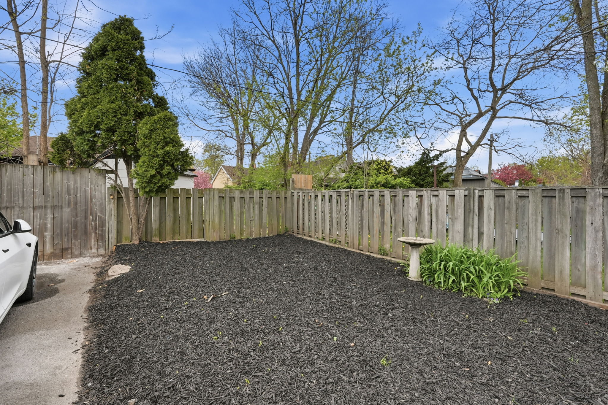 79-web-or-mls-79-Ilona Verlint_205 Locke St