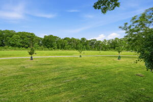 15-web-or-mls-15-Jeff Frank - 153 Parkview Dr