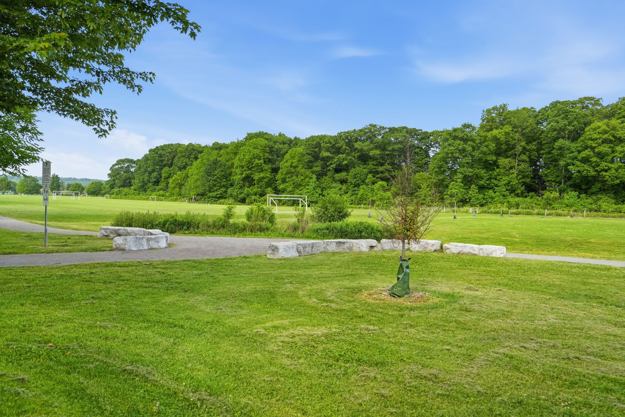 16-web-or-mls-16-Jeff Frank - 153 Parkview Dr