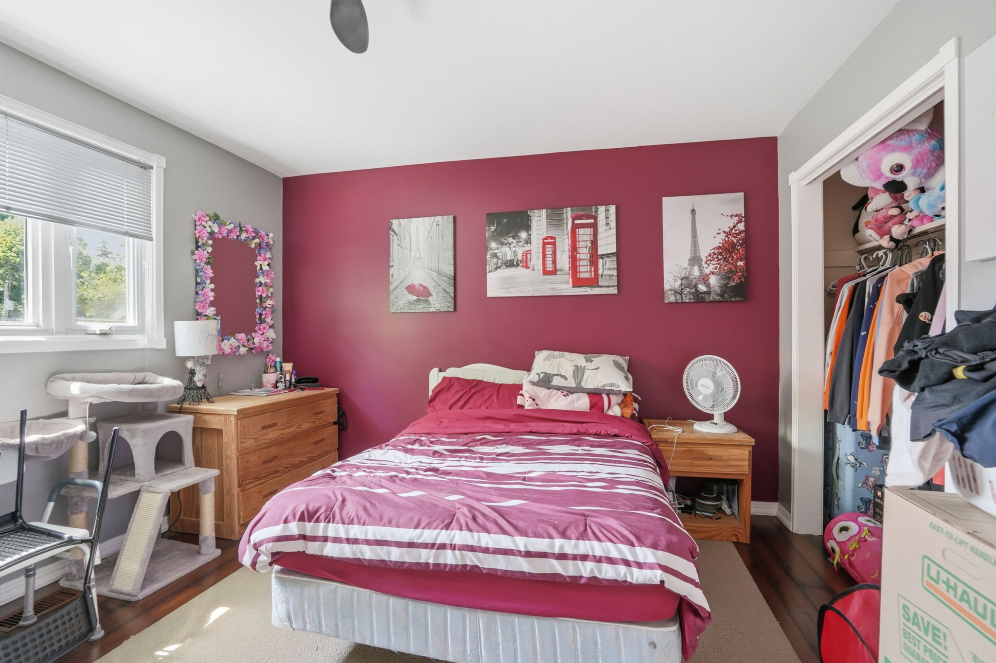 20-web-or-mls-20-Hamilton_Frank_44 San Paulo Dr
