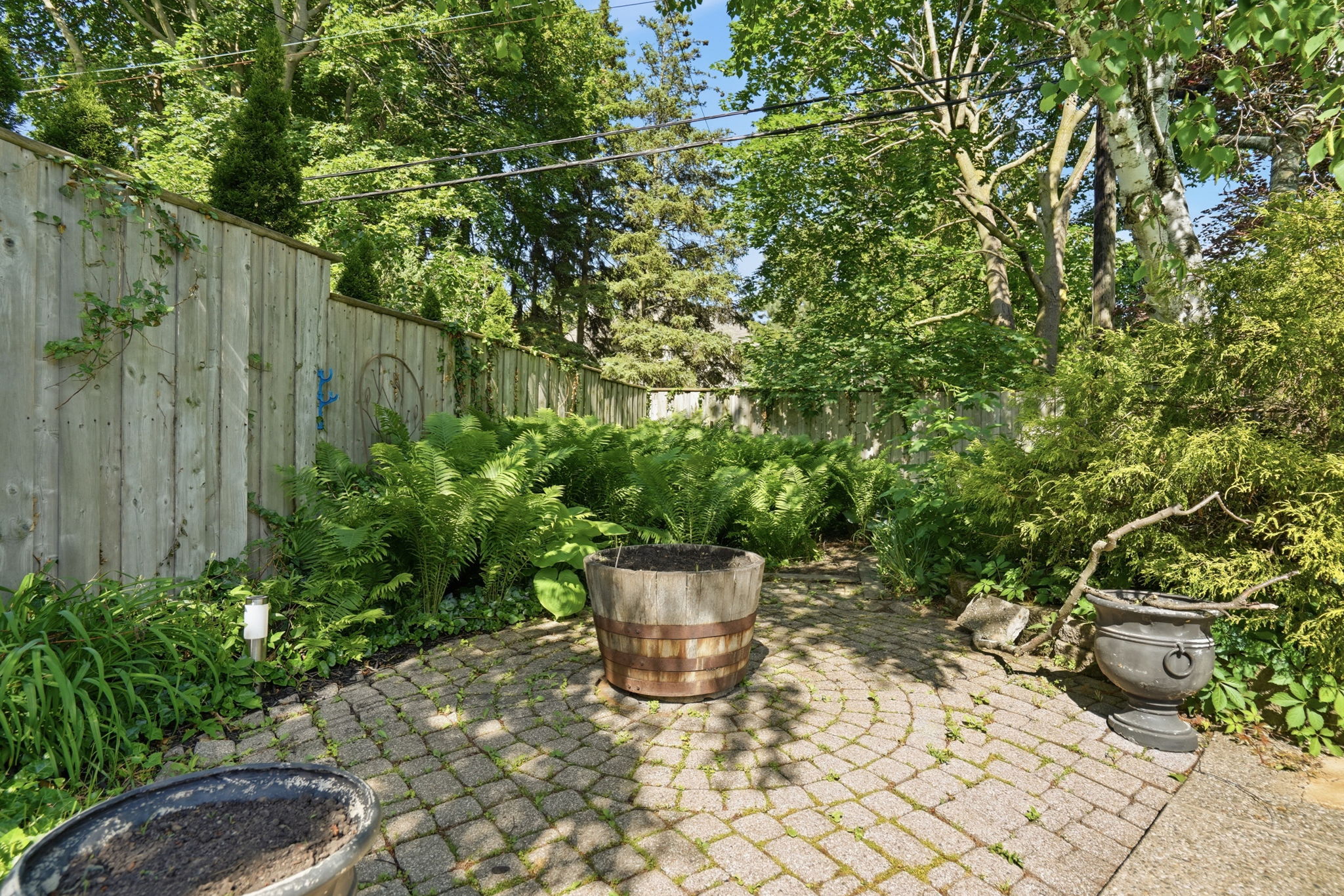65-web-or-mls-65-Hamilton_Frank_44 San Paulo Dr