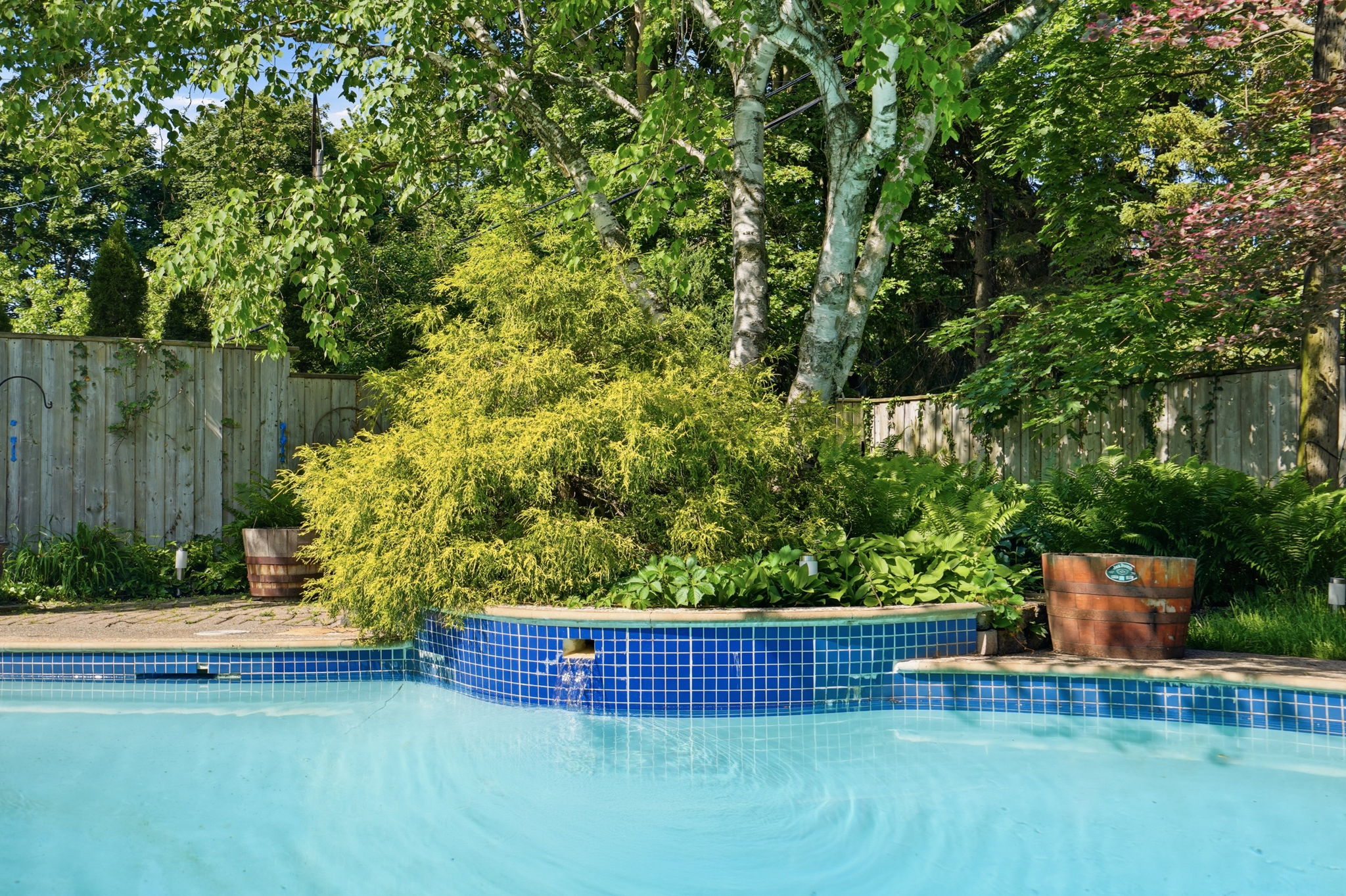 76-web-or-mls-76-Hamilton_Frank_44 San Paulo Dr