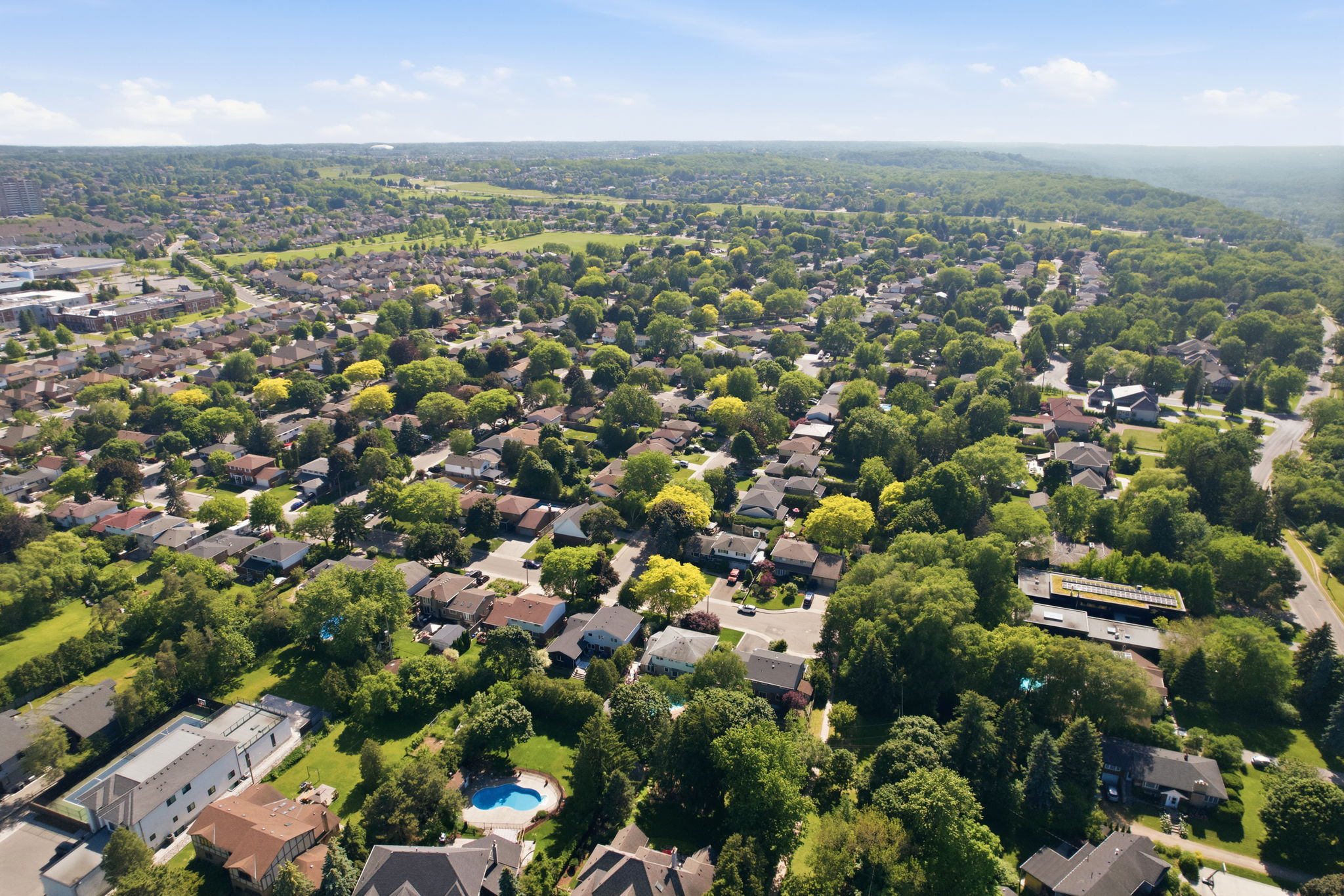 8-web-or-mls-8-Hamilton_Frank_44 San Paulo Dr