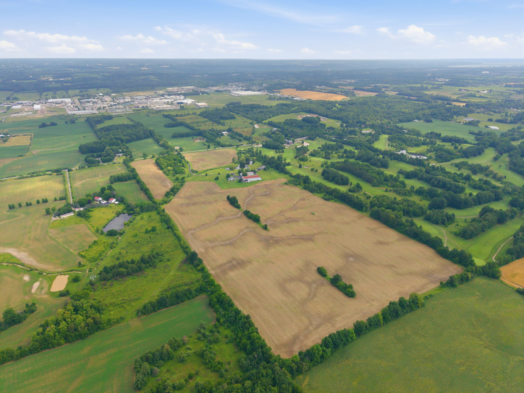 114-web-or-mls-114-Renzo Passaretti_1046 Book Rd W