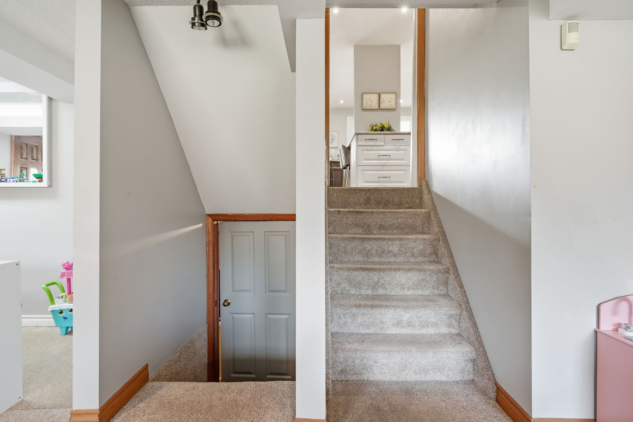 55-web-or-mls-45-print-DSC04838