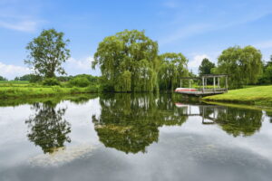 57-web-or-mls-57-Renzo Passaretti_1046 Book Rd W