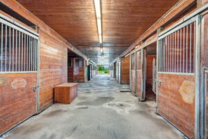 93-web-or-mls-93-Renzo Passaretti_1046 Book Rd W