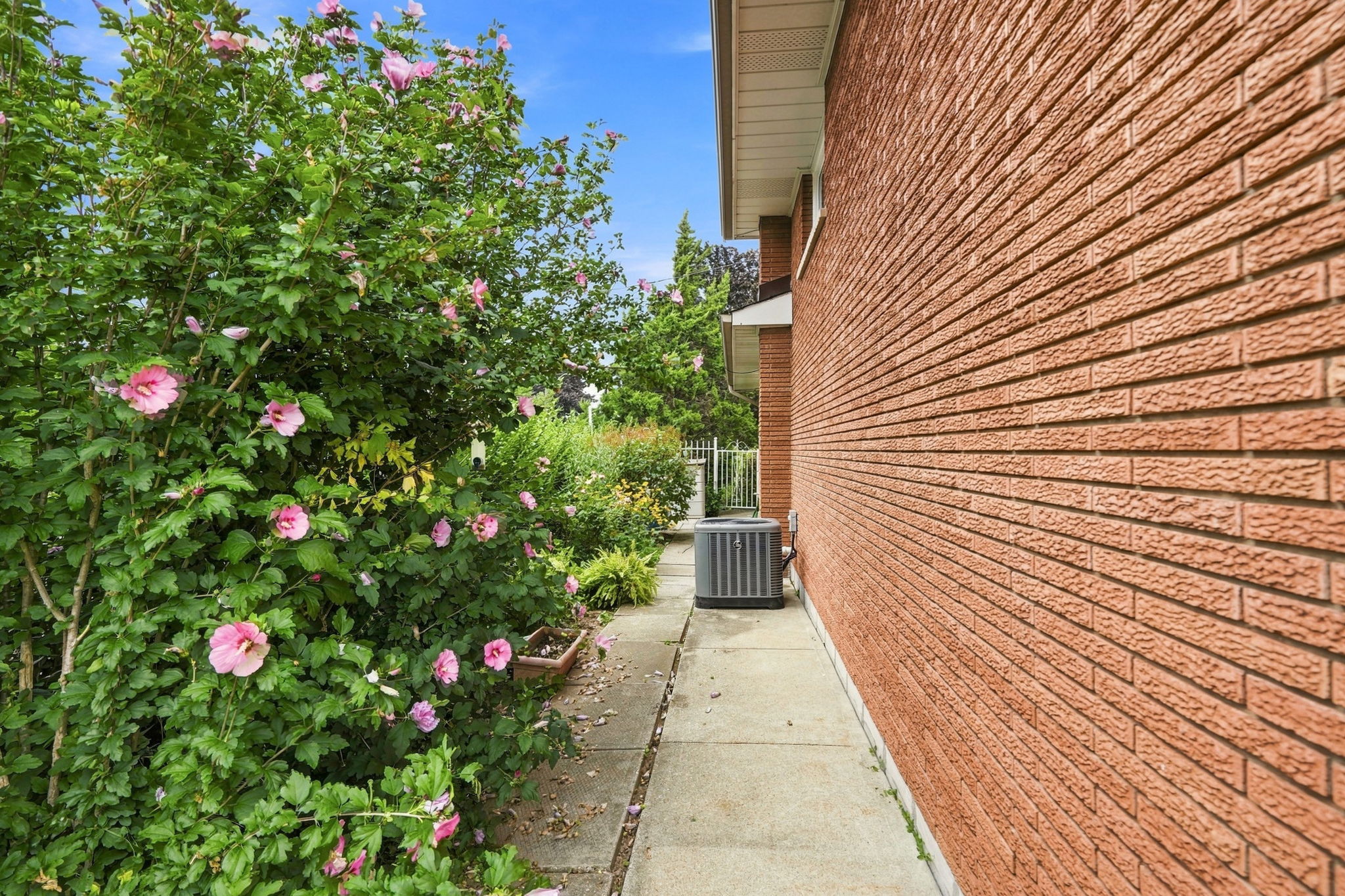 38-web-or-mls-38-Renzo Passaretti_76 Orphir Rd
