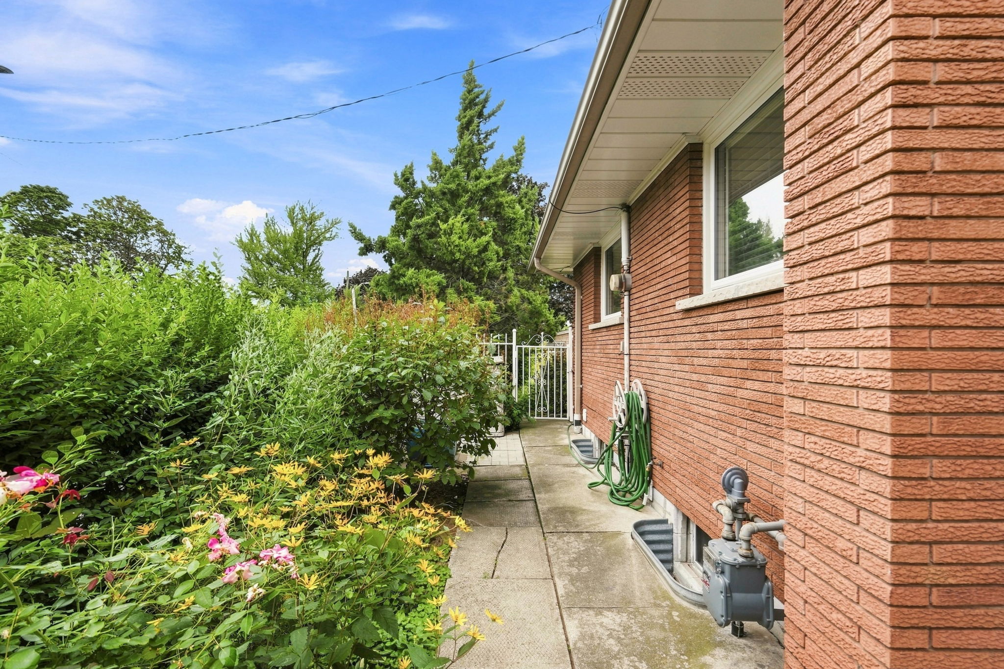 39-web-or-mls-39-Renzo Passaretti_76 Orphir Rd