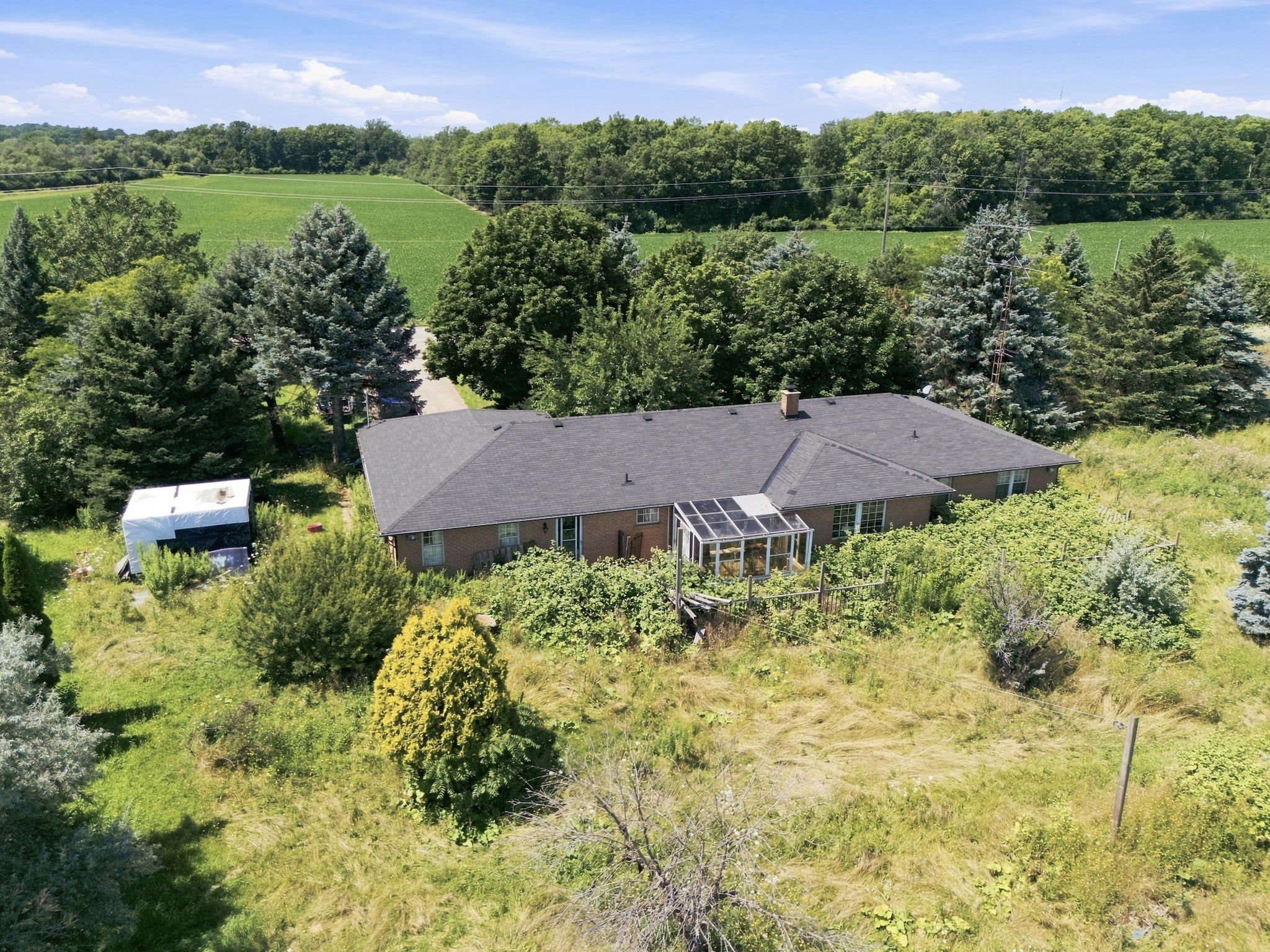 6-web-or-mls-6-Samantha Frank_490 Tapleytown Rd