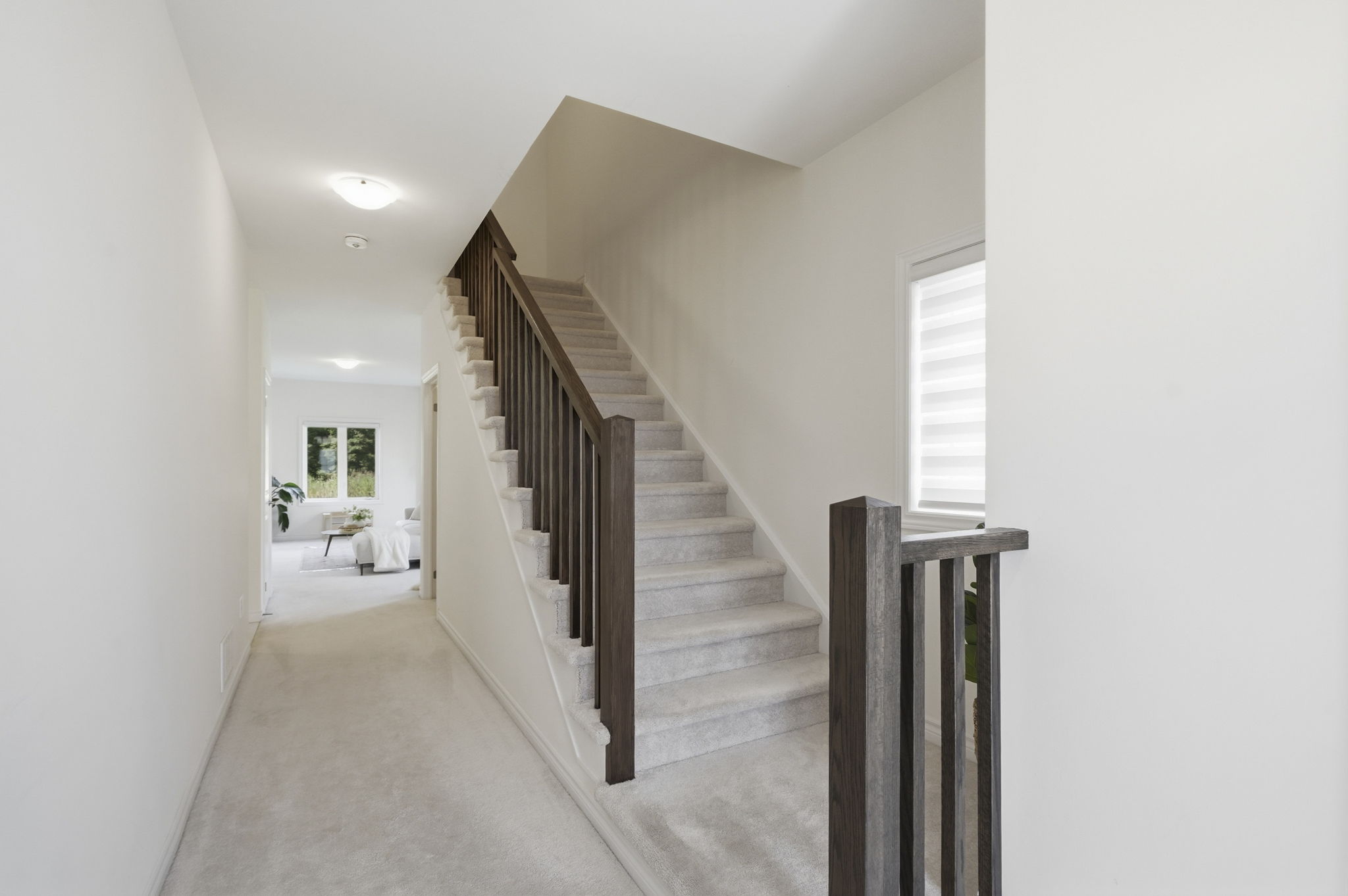 7-web-or-mls-DSC00396