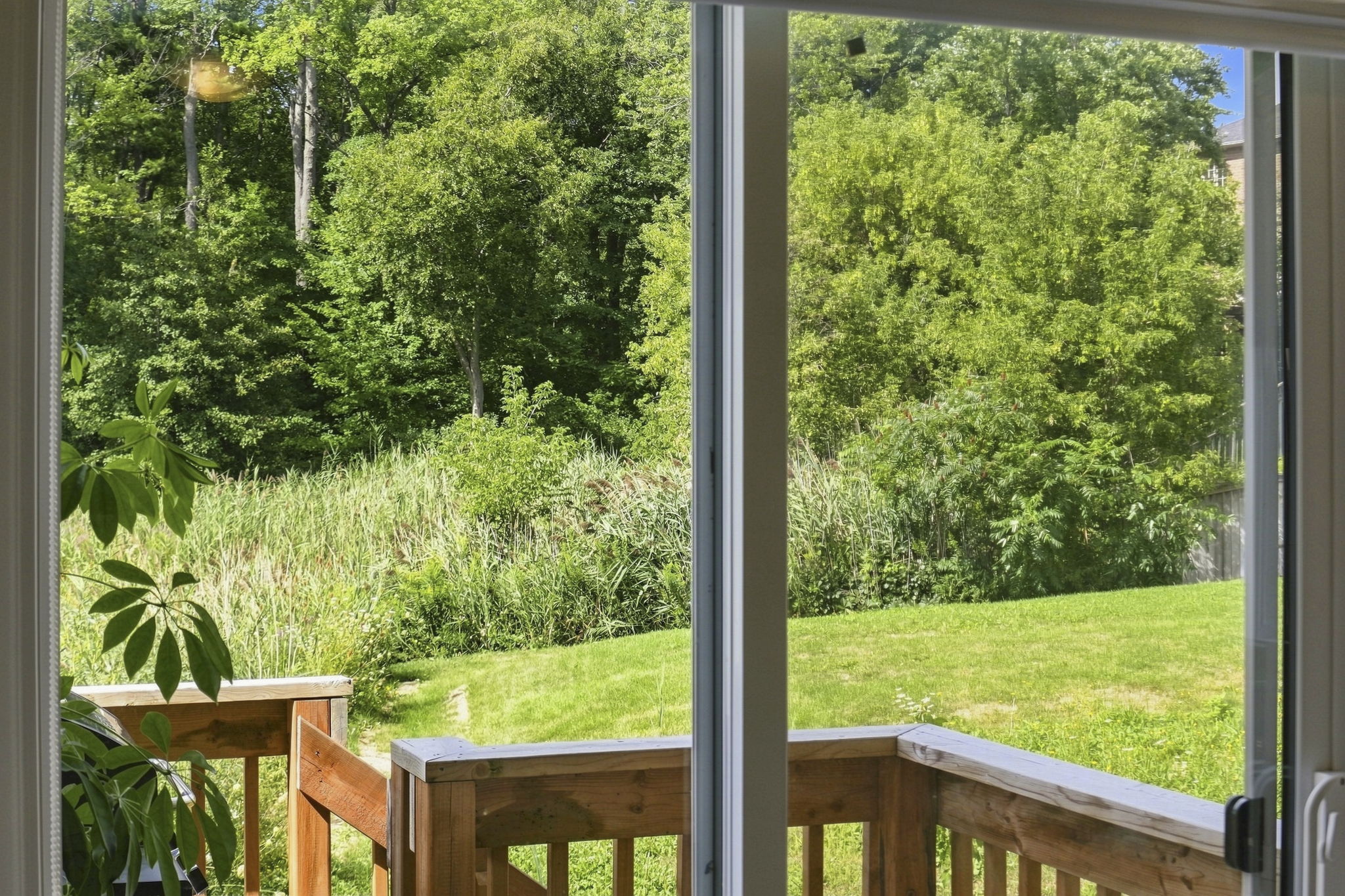 24-web-or-mls-DSC00476