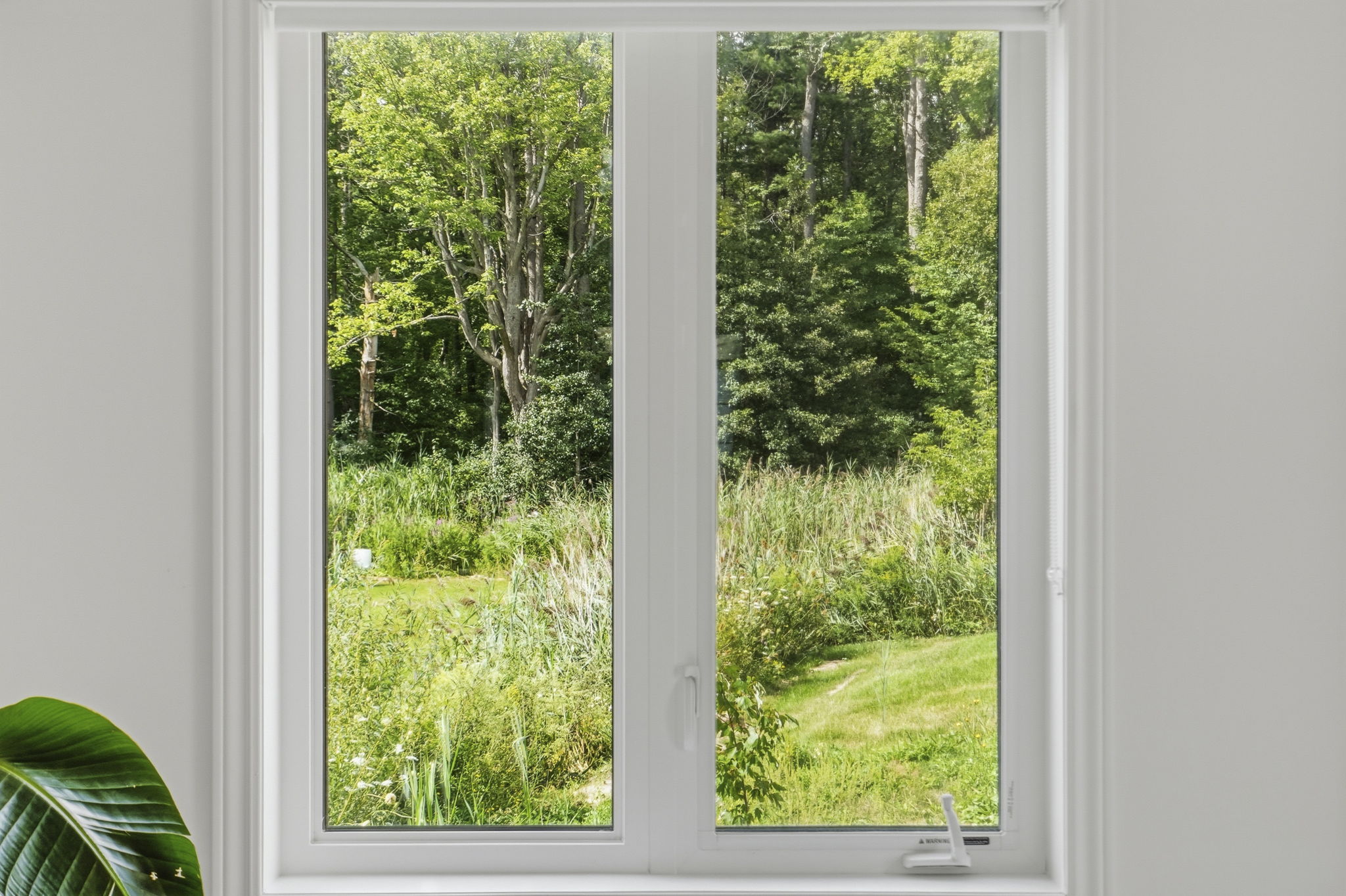 25-web-or-mls-DSC00481