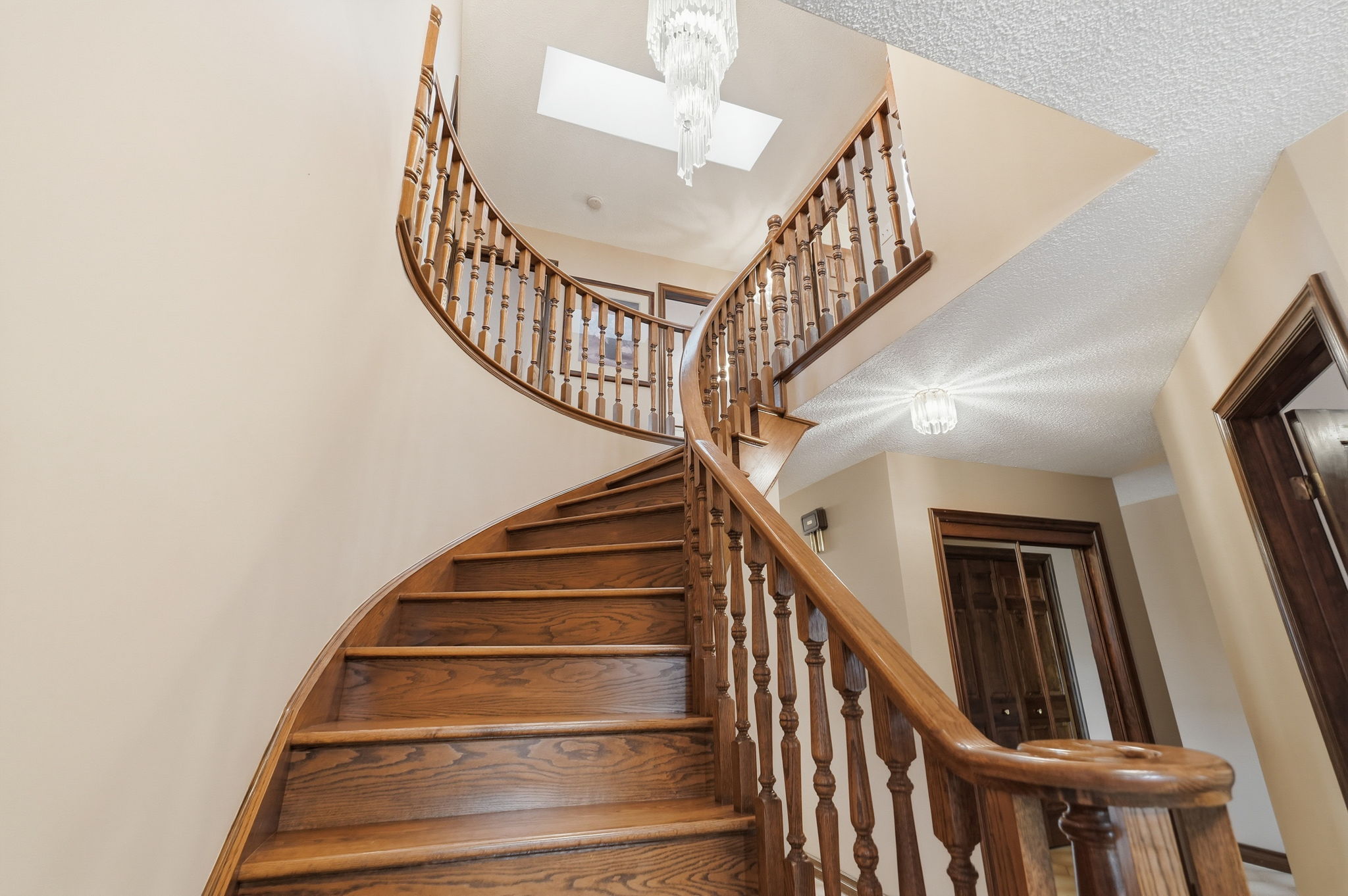 37-web-or-mls-39-Dane Pirro_4 Nellida Crescent