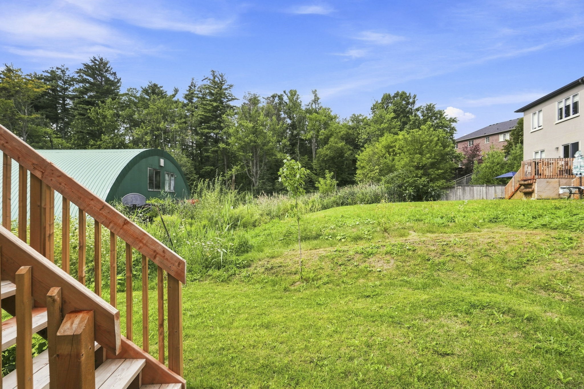 51-web-or-mls-DSC00616