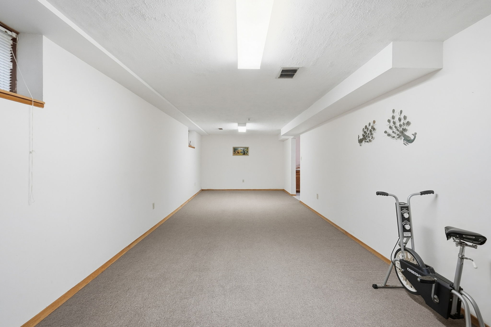 55-web-or-mls-57-Dane Pirro_4 Nellida Crescent